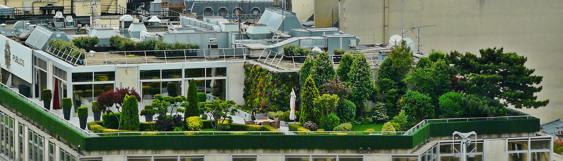 Ein grüner naturnaher Dachgarten